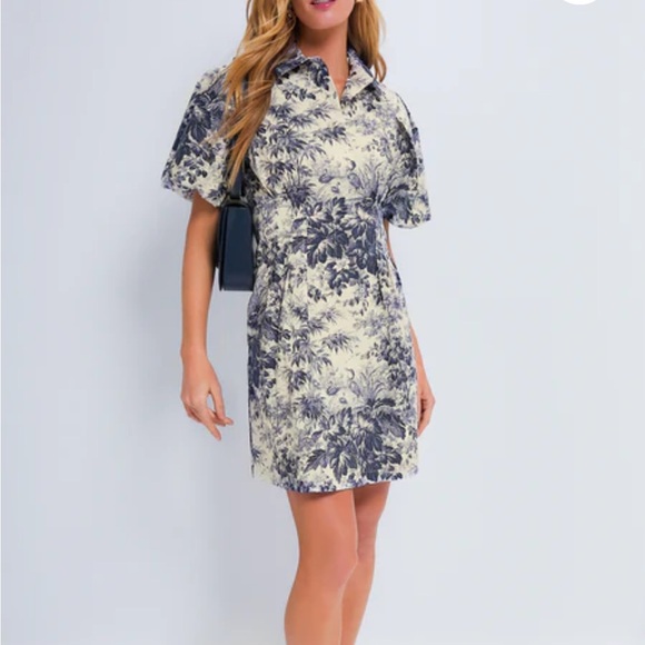 Tuckernuck Navy Toile Mini Delaney Dress - Picture 5 of 8